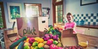 Fruit & veg supplier SunFresh Produce launches ‘ethical’ DTC delivery boxes