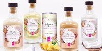Creamy Creation unveils new vegan concept -