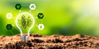 The Future Is Green: 3 Must-Have Renewable Energy Stocks for 2024