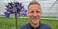 Hoogeveen Plants expands range with Agapanthus Everpanthus series