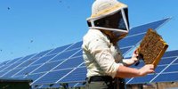 Renantis launches its third grassroots co-financed PV plant | Daily Relay