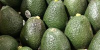 Seize Summer Sales With Peak California Avocado Supply -