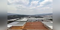 This Westland company is building a greenhouse of two hectares in China | All the news from Westland