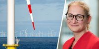 Hommelles on the wind energy market: 'A chicken and egg problem'