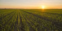 GreenPoint AG’s Amy Winstead: What It Means to Be a Part of PACE