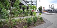 Climate in Winterthur: Private should make their parking spaces and backyards into nature