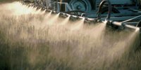 The Corteva betrayed: Hungarian farmers can count on this in 2025 -