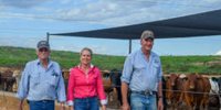 Feedlots play a role in climate crisis solution