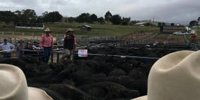 Prices meet expectations