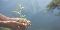 Environmental Education Day: Five tips to take care of the planet ... and your pocket -