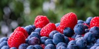 BerryWorld and Tropic Cool team up for new Rwanda venture •