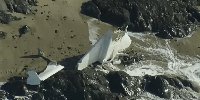 Half Moon Bay plane crash: Some victims identified, cause under investigation