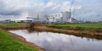 Significant drop in turnover and profit for dairy company Ausnutria, goat milk factory in Heerenveen is a positive exception