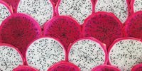 Dragon fruit or pitaya, the sensation in fruit