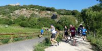 More than 310 runners crossed the village