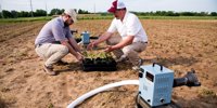 For a second time, US court bans dicamba weed killers, finds EPA violated law