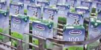 American confectioners are ready for the 2024 elections