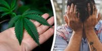 Desperate Schiedammer Martijn starts a cannabis farm, but that makes his problems even worse