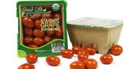 Veg-Fresh Farms tomatoes earn Rainforest Alliance Certification - Vegetable Growers News