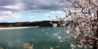 Water reserves in the Algarve ensure human consumption by 2027 -