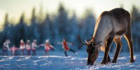 An ice rink is coming to a Kent spa resort and it sounds magical