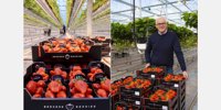 Lambadase season at Beekers Berries started again