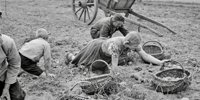 Pictures of Raesfeld home photographer are digitized: impressions of 100 years ago