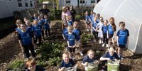 IN PICTURES: Derry pupils get to grips with No Dig gardening at Hollybush Primary School