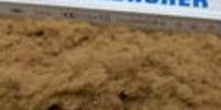 TOMRA Sorting GmbH Receives Gold Medal in EcoVadis Sustainability Rating