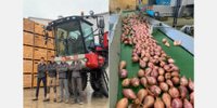 From Flakkee to Ontario: Bas Melissant will grow and process onions in Canada in 9 years' time
