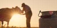 Reducing ruminant livestock emissions: Danone bolsters methane-reducing scalable farming solutions