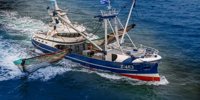 Neptune, Damen and Value Maritime receive a substantial subsidy from Maritime Innovation Program |