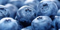 BerryWorld e Tropic Cool lanciano Rwanda Berries