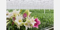 How safe are you if you criticize the use of plant protection products?