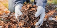 Combating climate change by transforming waste into value
