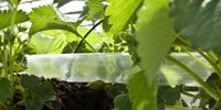 Insights on CO2 dosing | Zantingh B.V.