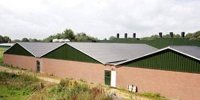 'Happy with Livestock and Health report' | Pigbusiness.nl - News for pig farmers