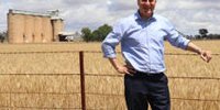 Junee abattoir to receive $30 million investment