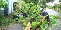 The storms caused billions in damages