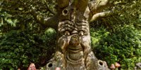 Efteling will not adhere to the visitor limit and would rather pay a penalty