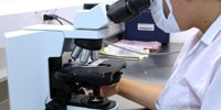 KPMG: Healthcare and Life Sciences Investors Anticipate Robust M&A Growth in 2025 | The Consulting Report