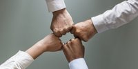 News: Adfiz starts 2025 with the first five associated partners