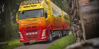 New Golden Flame for Henk van Vliet