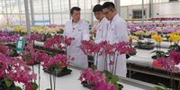 Dutch company promotes Flores Commerce in Chinese and Global Markets