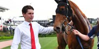 Trainer cleared of wrongdoing in cobalt case