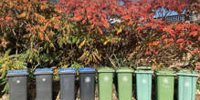 Greener approach sees fewer black bin collections