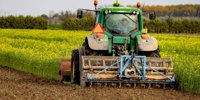 Chain focuses on regenerative agriculture as standard