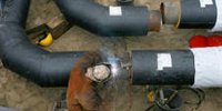 All horticulturists off gas thanks to Westland heat network: 'We can continue to expand it'