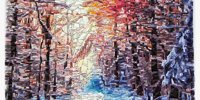 Natasja Mulder wins prize with 'beautiful explosion of colorful mosaic'