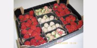Vital Berry presents three exclusive strawberry varieties